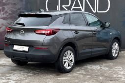 
										Opel Grandland X полный									