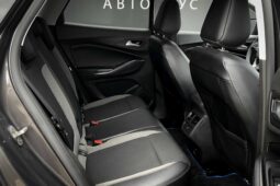 
										Opel Grandland X полный									