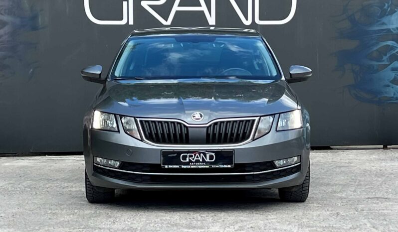 
								Skoda Octavia полный									